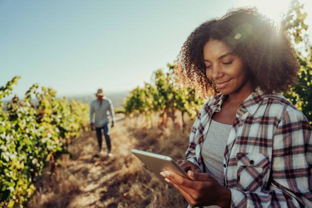 Agriculture durable production responsable