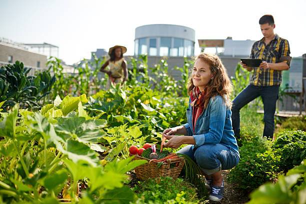 Agriculture durable