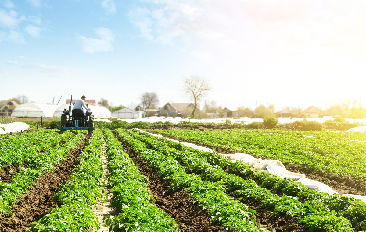 agritech dans les Andes