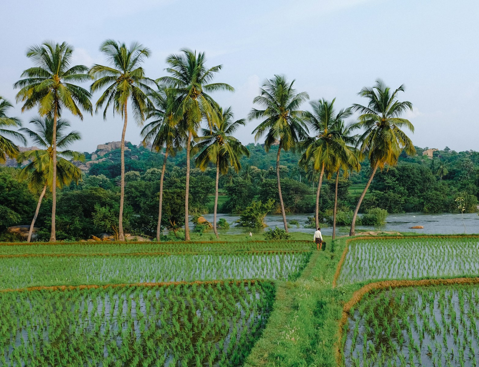 défis économie srilankaise